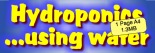 Hydroponics Banner
